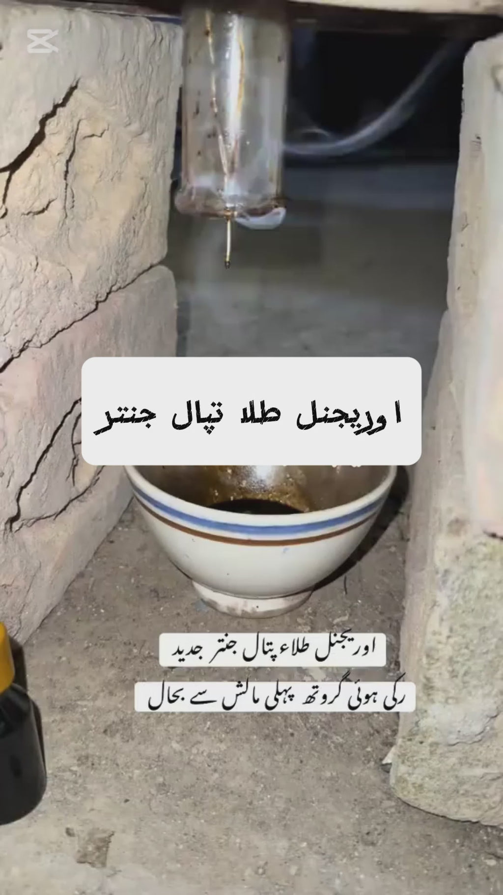 طلاء پتال جنتر+مقوی خاص کیپسول