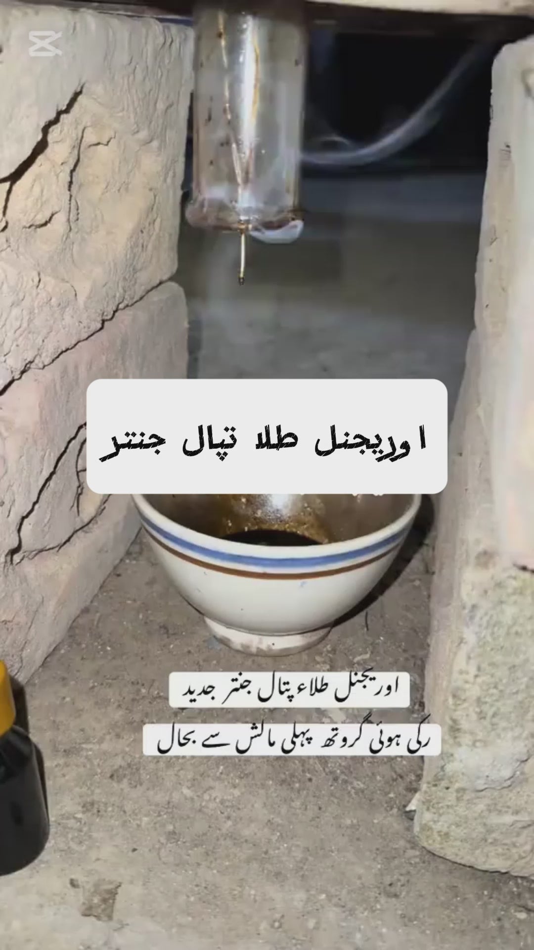 طلاء پتال جنتر+مقوی خاص کیپسول